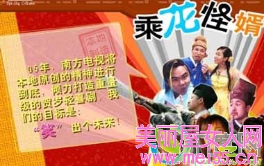 乘龙怪婿