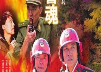 森林武警,烈火警魂