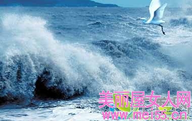 记录片《惊涛》