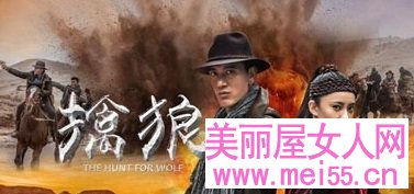 《擒狼》分集剧情介绍1-33全集